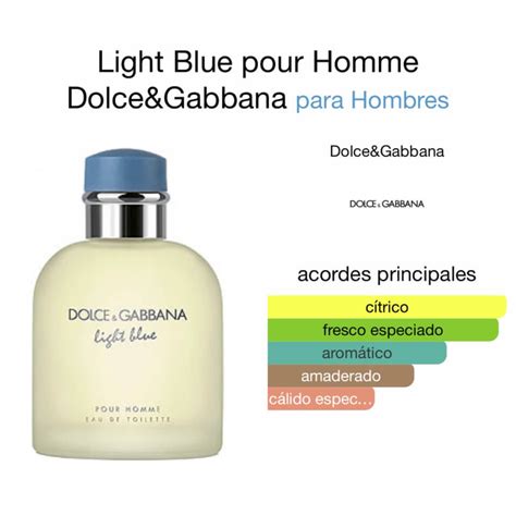 notas dolce gabbana light blue|light blue dolce gabbana fragrantica.